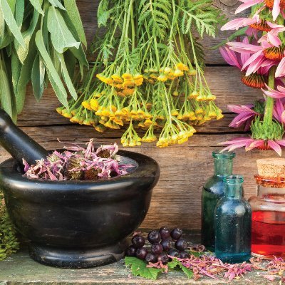 Love herbs, nature, books, folklore, video games, role play gameing, and art in all its quantities...
💜⚪♠️