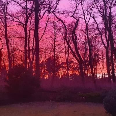 Kerstin_ber's profile picture. 