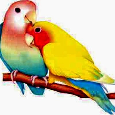 SonamDTamang2's profile picture. I'm a hardowring and sincere person