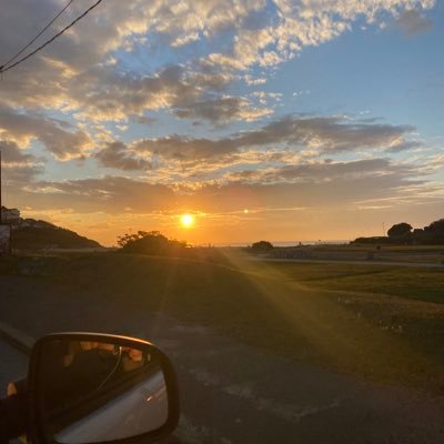 theal___'s profile picture. Projet en cours