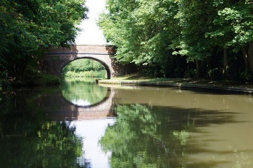 Intraliz's profile picture. 