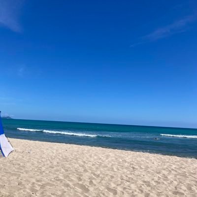 bumbucha's profile picture. pushin p(r’s) | hunt