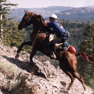 BlackberryInn's profile picture. Your professional innkeeper, Yosemite trail specialist, provider of blissful sleep and a healthy breakfast.