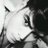 Mjr77215898's profile image