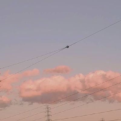 紫暮☻📄さんのプロフィール画像