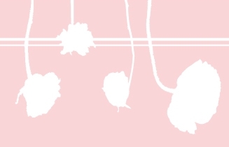 Dress_Room's profile picture. 과자를 사달라는 3살된 조카를 위해 쇼핑몰을 운영합니다. 우리 조카 과자 많이 사줄 수 있도록 도와주세요..