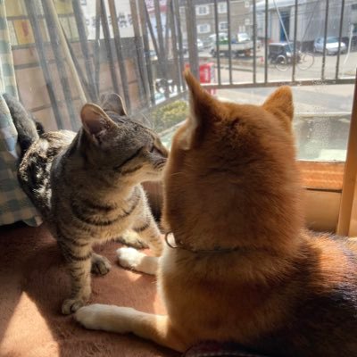 yknk117's profile picture. 