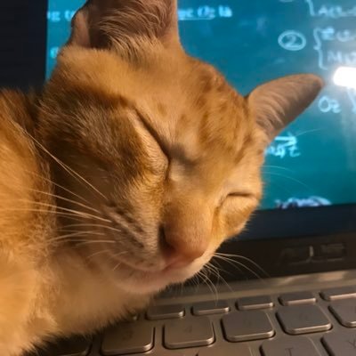 0x7diamonds's profile picture. bio