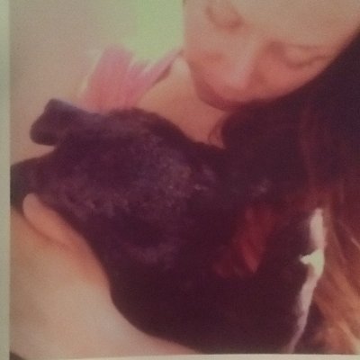 Christineireneさんのプロフィール画像