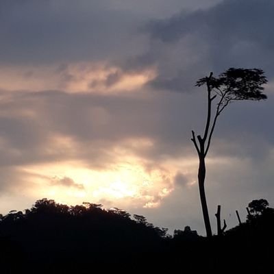 Hidup Adalah Perjalanan Kehilangan
Hidup Adalah Kumpulan Perpisahan
#JokPin .. ✍
