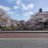 nsato_32