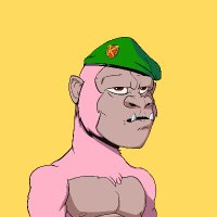 t42.eth $FAME (@crowsnest74) 's Twitter Profile