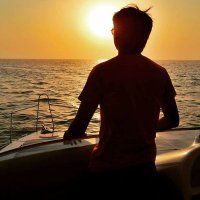 SAURAV SINGHAL | TRADER | INVESTER |ALGO DEVELOPE (@sauravs446) 's Twitter Profile