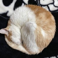 LUKE (@luke1208coco) 's Twitter Profile