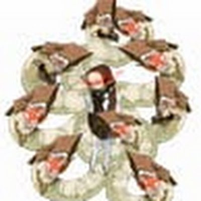 Elite Re-class Tsudzurao Profile