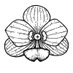 Orchid Leigh (@leighorchid) Twitter profile photo Orchid Leigh (@leighorchid) Twitter profile photo