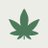 Cannabis & Me Research Study