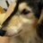 あとむじーたんのアイコン