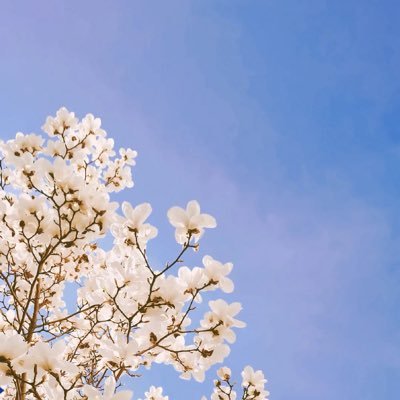 RJY04275575's profile picture. 