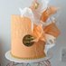 Toro's Cakes | London Baker (@cakesbiree) Twitter profile photo