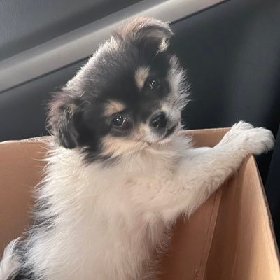 Lolo20553149602's profile picture. Lalalalo