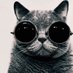 render sdl (@sdlrender) Twitter profile photo render sdl (@sdlrender) Twitter profile photo