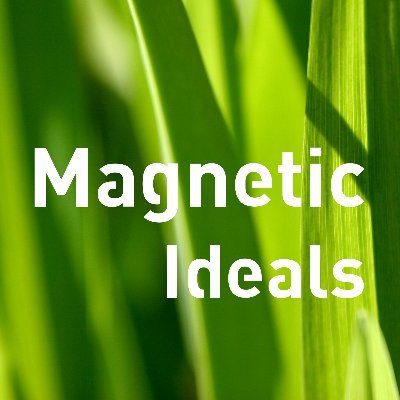 Magnetic Ideals