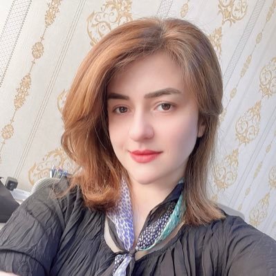 Director of Leadership and management Academy at Ministry of interior/KRG
