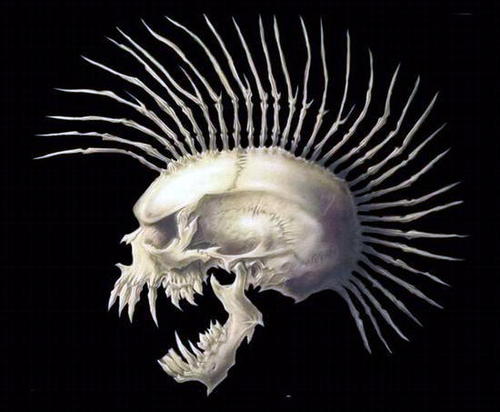 Mdc_Rsa's profile picture. 