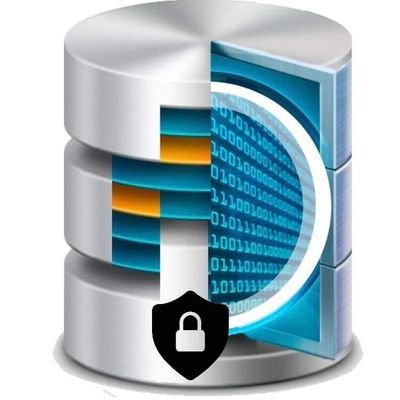 Dataseries_CV's profile picture. "Tu sistema de datos más confiable"