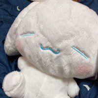 しなもん (@jsou63tcy) 's Twitter Profile