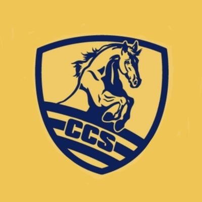 CCS Colts Baseball