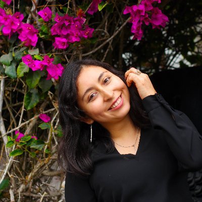 silvanapachecoc's profile picture. Businnes consultant passionated about #SocEnt | Founder @emprendescl & @makesense 🇵🇪 | #Sustainability 🌿