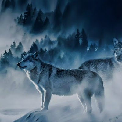 om_sudarshan710's profile picture. 