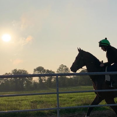 Horse Racing. Family-run, Dual Purpose Yard, based at Pondfield Stables, Ballingarry Co.Limerick. @gillianmlee for info, @caolan_scott for syndicate involvement