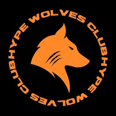 9,999 Hype Wolves | Luxury Streetwear | Collectibles | Chains | AR Clothing App | Staking | $HPWF | Upgrades | Airdrops | https://t.co/V7e9TKOjJ9