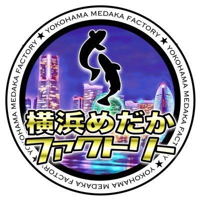 めだか専門店『横浜めだかファクトリー』横浜市でめだかのお店をやってます😄 お気軽にお越しください🙇‍♂️