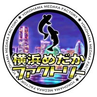 横浜めだかファクトリー (@yokohamamdkf) 's Twitter Profile