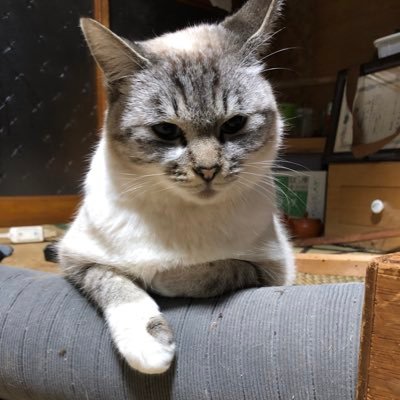 しんばさんのプロフィール画像
