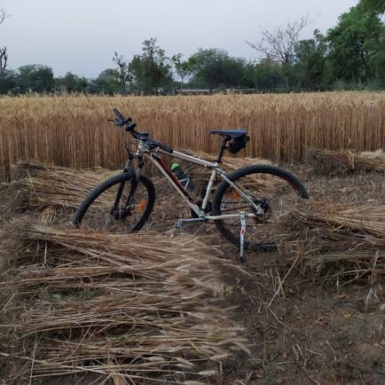 callrakesh's profile picture. Pl take screenshots of my tweets. I delete them frequently.