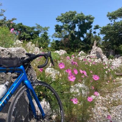 k9701742269's profile picture. 