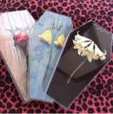 ともっぴー🌈⛩️