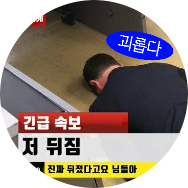 링크는 러닝목록 / 고어+크리쳐 다수 / 리트윗 꺼두시는게 좋아요 / ~같커팔로 자유~ / 기력사망(사유:걍)