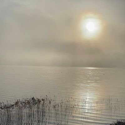 Tmusaeva1's profile picture. Не оглядывайся назад. Всё время иди вперёд. Люди, которые тебе действительно нужны, обязательно тебя догонят.