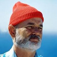 S Zissou 🇺🇦(@Whiteshirt71) 's Twitter Profile Photo