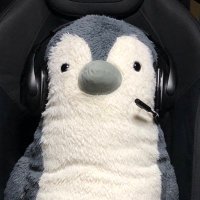 🍉🐾ペンギン兵 (@penguin_azlea) 's Twitter Profile