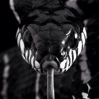 Eͷτяᴏᴘʏ 🔥 (@entroopy_) 's Twitter Profile