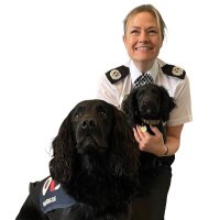 SUSSEX POLICE WELLBEING & TRAUMA SUPPORT DOGS(@DogsSussex) 's Twitter Profile Photo