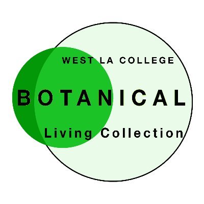 Student project to grow a living collection at West Los Angeles College, promoting profound interactions with Earth's vast plant diversity. 🪴donations welcome.