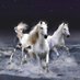 Av.Bedrettin Özdemir (@av_bedir) Twitter profile photo Av.Bedrettin Özdemir (@av_bedir) Twitter profile photo